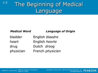 TThhee BBeeggiinnnniinngg ooff MMeeddiiccaall 
Medical Language, Third Edition 
Susan M. Turley 
Copyright © 2014, 2011, 2007 by Pearson Education, Inc. 
All Rights Reserved 
LLaanngguuaaggee 
1-2 
Medical Word Language of Origin 
bladder English blaedre 
heart English heorte 
drug Dutch droog 
physician French physicien 
 