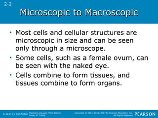 MMiiccrroossccooppiicc ttoo MMaaccrroossccooppiicc 
• Most cells and cellular structures are 
microscopic in size and can be seen 
only through a microscope. 
• Some cells, such as a female ovum, can 
be seen with the naked eye. 
• Cells combine to form tissues, and 
tissues combine to form organs. 
Medical Language, Third Edition 
Susan M. Turley 
Copyright © 2014, 2011, 2007 by Pearson Education, Inc. 
All Rights Reserved 
2-2 
 