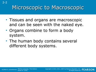 MMiiccrroossccooppiicc ttoo MMaaccrroossccooppiicc 
• Tissues and organs are macroscopic 
and can be seen with the naked eye. 
• Organs combine to form a body 
system. 
• The human body contains several 
different body systems. 
Medical Language, Third Edition 
Susan M. Turley 
Copyright © 2014, 2011, 2007 by Pearson Education, Inc. 
All Rights Reserved 
2-2 
 