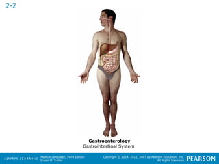 Medical Language, Third Edition 
Susan M. Turley 
Copyright © 2014, 2011, 2007 by Pearson Education, Inc. 
All Rights Reserved 
2-2 
Gastroenterology 
Gastrointestinal System 
 