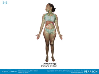 Medical Language, Third Edition 
Susan M. Turley 
Copyright © 2014, 2011, 2007 by Pearson Education, Inc. 
All Rights Reserved 
2-2 
Immunology 
Immune System 
 