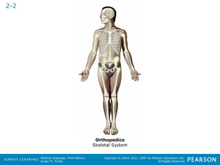 Medical Language, Third Edition 
Susan M. Turley 
Copyright © 2014, 2011, 2007 by Pearson Education, Inc. 
All Rights Reserved 
2-2 
Orthopedics 
Skeletal System 
 