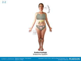 Medical Language, Third Edition 
Susan M. Turley 
Copyright © 2014, 2011, 2007 by Pearson Education, Inc. 
All Rights Reserved 
2-2 
Endocrinology 
Endocrine System 
 