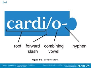 Medical Language, Third Edition 
Susan M. Turley 
Copyright © 2014, 2011, 2007 by Pearson Education, Inc. 
All Rights Reserved 
Figure 1-3 Combining form. 
1-4 
 