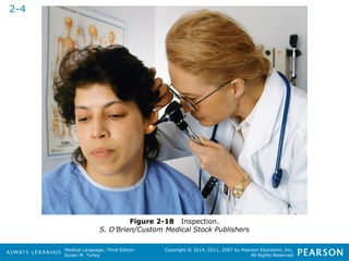 Medical Language, Third Edition 
Susan M. Turley 
Copyright © 2014, 2011, 2007 by Pearson Education, Inc. 
All Rights Reserved 
Figure 2-18 Inspection. 
S. O’Brien/Custom Medical Stock Publishers 
2-4 
 