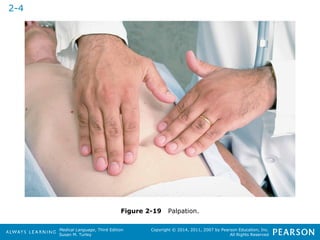 Medical Language, Third Edition 
Susan M. Turley 
Copyright © 2014, 2011, 2007 by Pearson Education, Inc. 
All Rights Reserved 
Figure 2-19 Palpation. 
2-4 
 