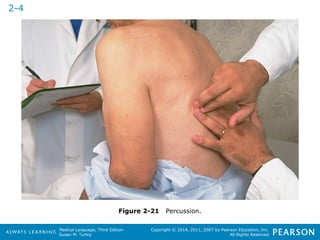 Medical Language, Third Edition 
Susan M. Turley 
Copyright © 2014, 2011, 2007 by Pearson Education, Inc. 
All Rights Reserved 
Figure 2-21 Percussion. 
2-4 
 