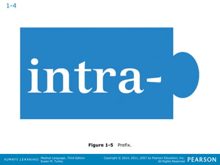Medical Language, Third Edition 
Susan M. Turley 
Copyright © 2014, 2011, 2007 by Pearson Education, Inc. 
All Rights Reserved 
Figure 1-5 Prefix. 
1-4 
 