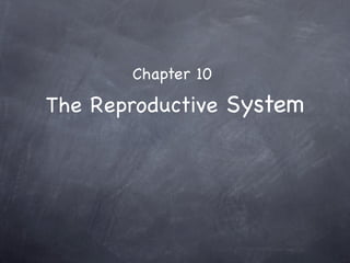 Chapter 10

The Reproductive System
 