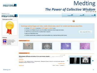 Medting The Power of Collective Wisdom Medting.com 