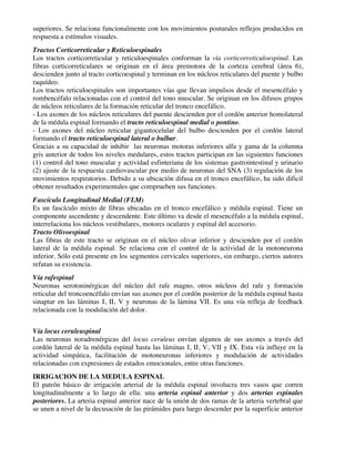 superiores. Se relaciona funcionalmente con los movimientos posturales reflejos producidos en
respuesta a estímulos visuales.
Tractos Corticorreticular y Reticuloespinales
Los tractos corticorreticular y reticuloespinales conforman la vía corticorreticuloespinal. Las
fibras corticorreticulares se originan en el área premotora de la corteza cerebral (área 6),
descienden junto al tracto corticoespinal y terminan en los núcleos reticulares del puente y bulbo
raquídeo.
Los tractos reticuloespinales son importantes vías que llevan impulsos desde el mesencéfalo y
rombencéfalo relacionadas con el control del tono muscular. Se originan en los difusos grupos
de núcleos reticulares de la formación reticular del tronco encefálico.
- Los axones de los núcleos reticulares del puente descienden por el cordón anterior homolateral
de la médula espinal formando el tracto reticuloespinal medial o pontino.
- Los axones del núcleo reticular gigantocelular del bulbo descienden por el cordón lateral
formando el tracto reticuloespinal lateral o bulbar.
Gracias a su capacidad de inhibir las neuronas motoras inferiores alfa y gama de la columna
gris anterior de todos los niveles medulares, estos tractos participan en las siguientes funciones
(1) control del tono muscular y actividad esfinteriana de los sistemas gastrointestinal y urinario
(2) ajuste de la respuesta cardiovascular por medio de neuronas del SNA (3) regulación de los
movimientos respiratorios. Debido a su ubicación difusa en el tronco encefálico, ha sido dificil
obtener resultados experimentales que comprueben sus funciones.
Fascículo Longitudinal Medial (FLM)
Es un fascículo mixto de fibras ubicadas en el tronco encefálico y médula espinal. Tiene un
componente ascendente y descendente. Este último va desde el mesencéfalo a la médula espinal,
interrelaciona los núcleos vestibulares, motores oculares y espinal del accesorio.
Tracto Olivoespinal
Las fibras de este tracto se originan en el núcleo olivar inferior y descienden por el cordón
lateral de la médula espinal. Se relaciona con el control de la actividad de la motoneurona
inferior. Sólo está presente en los segmentos cervicales superiores, sin embargo, ciertos autores
refutan su existencia.
Vía rafespinal
Neuronas serotoninérgicas del núcleo del rafe magno, otros núcleos del rafe y formación
reticular del troncoencéfalo envían sus axones por el cordón posterior de la médula espinal hasta
sinaptar en las láminas I, II, V y neuronas de la lámina VII. Es una vía refleja de feedback
relacionada con la modulación del dolor.
Vía locus ceruleuspinal
Las neuronas noradrenérgicas del locus ceruleus envían algunos de sus axones a través del
cordón lateral de la médula espinal hasta las láminas I, II, V, VII y IX. Esta vía influye en la
actividad simpática, facilitación de motoneuronas inferiores y modulación de actividades
relacionadas con expresiones de estados emocionales, entre otras funciones.
IRRIGACION DE LA MEDULA ESPINAL
El patrón básico de irrigación arterial de la médula espinal involucra tres vasos que corren
longitudinalmente a lo largo de ella: una arteria espinal anterior y dos arterias espinales
posteriores. La arteria espinal anterior nace de la unión de dos ramas de la arteria vertebral que
se unen a nivel de la decusación de las pirámides para luego descender por la superficie anterior
 