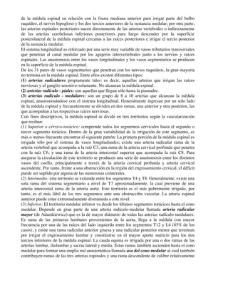 de la médula espinal en relación con la fisura mediana anterior para irrigar parte del bulbo
raquídeo, el nervio hipogloso y los dos tercios anteriores de la sustancia medular; por otra parte,
las arterias espinales posteriores nacen directamente de las arterias vertebrales o indirectamente
de las arterias cerebelosas inferiores posteriores para luego descender por la superficie
posterolateral de la médula espinal cercanas a las raíces posteriores e irrigar el tercio posterior
de la sustancia medular.
El sistema longitudinal es reforzado por una serie muy variable de vasos tributarios transversales
que penetran al canal medular por los agujeros intervertebrales junto a los nervios y raíces
espinales. Las anastomosis entre los vasos longitudinales y los vasos segmentarios se producen
en la superficie de la médula espinal.
De los 31 pares de vasos segmentarios que penetran con los nervios raquídeos, la gran mayoría
no termina en la médula espinal. Entre ellos existen diferentes tipos:
(1) arterias radiculares propiamente tales: es decir, aquellas arterias que irrigan las raíces
nerviosas y el ganglio sensitivo solamente. No alcanzan la médula espinal.
(2) arterias radículo - piales: son aquellas que llegan sólo hasta la piamadre.
(3) arterias radículo - medulares: son un grupo de 8 a 10 arterias que alcanzan la médula
espinal, anastomosándose con el sistema longitudinal. Generalmente ingresan por un solo lado
de la médula espinal y frecuentemente se dividen en dos ramas, una anterior y otra posterior, las
que acompañan a las respectivas raíces nerviosas.
Con fines descriptivos, la médula espinal se divide en tres territorios según la vascularización
que reciban:
(1) Superior o cérvico-torácico: comprende todos los segmentos cervicales hasta el segundo o
tercer segmento torácico. Dentro de la gran variabilidad de la irrigación de este segmento, es
más o menos frecuente encontrar el siguiente patrón: La primera porción de la médula espinal es
irrigada sólo por el sistema de vasos longitudinales; existe una arteria radicular rama de la
arteria vertebral que acompaña a la raíz C3, una rama de la arteria cervical profunda que penetra
con la raíz C6, y una rama de la arteria intercostal superior que acompaña la raíz C8. Para
asegurar la circulación de este territorio se producen una serie de anastomosis entre los distintos
vasos del cuello, principalmente a través de la arteria cervical profunda y arteria cervical
ascendente. Por tanto, frente a una obstrucción en la región del engrosamiento cervical, el déficit
puede ser suplido por alguna de las numerosas colaterales.
(2) Intermedio: este territorio se extiende entre los segmentos T4 y T8. Generalmente, existe una
sola rama del sistema segmentario a nivel de T7 aproximadamente, la cual proviene de una
arteria intercostal rama de la arteria aorta. Este territorio es el más pobremente irrigado, por
tanto, es el más lábil de los tres segmentos ante una obstrucci6n vascular. La arteria espinal
anterior puede estar extremadamente disminuida a este nivel.
(3) Inferior: El territorio medular inferior va desde los últimos segmentos torácicos hasta el cono
medular. Depende en gran parte de una arteria radículo-medular llamada arteria radicular
mayor (de Adamkiewicz) que es la de mayor diámetro de todas las arterias radículo-medulares.
Es rama de las primeras lumbares provenientes de la aorta, llega a la médula con mayor
frecuencia por una de las raíces del lado izquierdo entre los segmentos T12 y L4 (85% de los
casos), y emite una rama radicular anterior gruesa y una radicular posterior menor que terminan
por irrigar el engrosamiento lumbar y constituirse en el mayor aporte nutricio para los dos
tercios inferiores de la médula espinal. La cauda equina es irrigada por una o dos ramas de las
arterias lumbar, iliolumbar y sacras lateral y media. Estas ramas también ascienden hasta el cono
medular para formar una amplia red anastomótica llamada asa del cono medular al cual también
contribuyen ramas de las tres arterias espinales y una rama descendente de calibre relativamente
 
