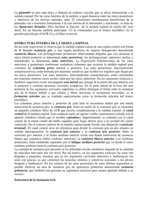La piamadre es una capa única y delgada de carácter vascular que se adosa íntimamente a la
médula espinal. Por las caras laterales de la médula, a igual distancia entre las raíces posteriores
y anteriores de los nervios espinales, unas 22 extensiones membranosas puntiformes de la
piamadre van a insertarse firmemente a la cara interna de la duramadre y aracnoides: se trata de
los ligamentos dentados. Ellos facilitan la fijación de la médula espinal en medio del saco
dural. En tal función también participan: (1) la continuidad con el tronco encefálico (2) la
presión ejercida por el LCR (3) y el filum terminale.
ESTRUCTURA INTERNA DE LA MEDULA ESPINAL
En un corte transversal se observa que la médula espinal consta de una región central con forma
de H llamada sustancia gris, y una región periférica de aspecto blanquecino denominada
sustancia blanca. Las prolongaciones posteriores relativamente delgadas que casi alcanzan el
surco lateral posterior se denominan astas posteriores; las prolongaciones anteriores anchas y
redondeadas se denominan astas anteriores. La disposición tridimensional de las astas
anteriores y posteriores conforman verdaderas columnas que recorren la médula espinal para
constituir las columnas grises anterior y posterior. Las astas posteriores, funcionalmente
somatosensitivas, están formada por neuronas sensitivas que reciben los impulsos que llegan por
las raíces posteriores. Las astas anteriores, funcionalmente somatomotoras, están constituidas
por neuronas motoras cuyos axones salen por las raíces anteriores. En los segmentos torácicos y
lumbares superiores existe una pequeña asta lateral que emerge de la unión del asta anterior con
la posterior y contiene neuronas viscerales simpáticas. En la parte lateral de la base del asta
posterior de los segmentos cervicales superiores es difícil distinguir el límite entre la sustancia
gris de la blanca debido a que células y fibras nerviosas se encuentran mezcladas: es la
formación reticular que se continúa superiormente como la formación reticular del tronco
encefálico.
Las columnas grises anterior y posterior de cada lado se encuentran unidas por una banda
transversal de sustancia gris: la comisura gris. Justo en medio de la comisura gris se encuentra
un pequeño conducto lleno de LCR que recorre completamente a la médula espinal: el canal
central de la médula espinal. Este conducto suele ser apenas visible o permanecer ocluido con el
epitelio cilíndrico ciliado que lo recubre (epéndimo). Superiormente, se continúa con el canal
central de la mitad caudal del bulbo raquídeo para luego abrirse paso a la cavidad del cuarto
ventrículo. En el extremo inferior de la médula espinal puede formar una dilatación (ventrículo
terminal). El canal central sirve de referencia para dividir la comisura gris en dos mitades en
sentido anteroposterior: la comisura gris anterior y la comisura gris posterior. Entre la
comisura gris anterior y la fisura mediana anterior existe una banda transversal de sustancia
blanca que comunica ambos cordones anteriores, la comisura blanca anterior. Los cordones
posteriores están totalmente separados por el tabique mediano posterior que va desde el surco
mediano posterior hasta la comisura gris posterior.
La cantidad de sustancia gris presente en los diferentes niveles medulares depende de la cantidad
de músculos inervados por ese nivel. Por tal motivo, en los segmentos torácicos las astas son
delgadas y pequeñas, mientras que en los segmentos cervicales inferiores y lumbosacros las
astas son gruesas ya que contienen las neuronas motoras y sensitivas asociadas a los plexos
braquial y lumbosacro. En los vértices de las astas posteriores de estos últimos segmentos es
posible observar un área de sustancia gris de apariencia gelatinosa denominada sustancia
gelatinosa, que también está presente en segmentos torácicos pero menos aparente debido a su
escasez.
Estructura de la Sustancia Gris
 