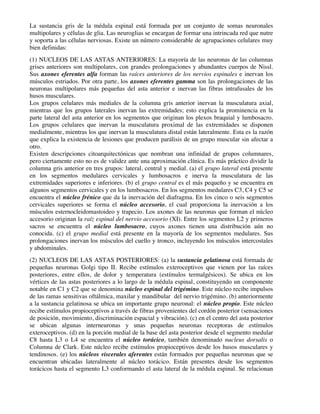 La sustancia gris de la médula espinal está formada por un conjunto de somas neuronales
multipolares y células de glia. Las neuroglias se encargan de formar una intrincada red que nutre
y soporta a las células nerviosas. Existe un número considerable de agrupaciones celulares muy
bien definidas:
(1) NUCLEOS DE LAS ASTAS ANTERIORES: La mayoría de las neuronas de las columnas
grises anteriores son multipolares, con grandes prolongaciones y abundantes cuerpos de Nissl.
Sus axones eferentes alfa forman las raíces anteriores de los nervios espinales e inervan los
músculos estriados. Por otra parte, los axones eferentes gamma son las prolongaciones de las
neuronas multipolares más pequeñas del asta anterior e inervan las fibras intrafusales de los
husos musculares.
Los grupos celulares más mediales de la columna gris anterior inervan la musculatura axial,
mientras que los grupos laterales inervan las extremidades; esto explica la prominencia en la
parte lateral del asta anterior en los segmentos que originan los plexos braquial y lumbosacro.
Los grupos celulares que inervan la musculatura proximal de las extremidades se disponen
medialmente, mientras los que inervan la musculatura distal están lateralmente. Esta es la razón
que explica la existencia de lesiones que producen parálisis de un grupo muscular sin afectar a
otro.
Existen descripciones citoarquitectónicas que nombran una infinidad de grupos columnares,
pero ciertamente esto no es de validez ante una aproximación clínica. Es más práctico dividir la
columna gris anterior en tres grupos: lateral, central y medial. (a) el grupo lateral está presente
en los segmentos medulares cervicales y lumbosacros e inerva la musculatura de las
extremidades superiores e inferiores. (b) el grupo central es el más pequeño y se encuentra en
algunos segmentos cervicales y en los lumbosacros. En los segmentos medulares C3, C4 y C5 se
encuentra el núcleo frénico que da la inervación del diafragma. En los cinco o seis segmentos
cervicales superiores se forma el núcleo accesorio, el cual proporciona la inervación a los
músculos esternocleidomastoideo y trapecio. Los axones de las neuronas que forman el núcleo
accesorio originan la raíz espinal del nervio accesorio (XI). Entre los segmentos L2 y primeros
sacros se encuentra el núcleo lumbosacro, cuyos axones tienen una distribución aún no
conocida. (c) el grupo medial está presente en la mayoría de los segmentos medulares. Sus
prolongaciones inervan los músculos del cuello y tronco, incluyendo los músculos intercostales
y abdominales.
(2) NUCLEOS DE LAS ASTAS POSTERIORES: (a) la sustancia gelatinosa está formada de
pequeñas neuronas Golgi tipo II. Recibe estímulos exteroceptivos que vienen por las raíces
posteriores, entre ellos, de dolor y temperatura (estímulos termalgésicos). Se ubica en los
vértices de las astas posteriores a lo largo de la médula espinal, constituyendo un componente
notable en C1 y C2 que se denomina núcleo espinal del trigémino. Este núcleo recibe impulsos
de las ramas sensitivas oftálmica, maxilar y mandibular del nervio trigémino. (b) anteriormente
a la sustancia gelatinosa se ubica un importante grupo neuronal: el núcleo propio. Este núcleo
recibe estímulos propioceptivos a través de fibras provenientes del cordón posterior (sensaciones
de posición, movimiento, discriminación espacial y vibración). (c) en el centro del asta posterior
se ubican algunas interneuronas y unas pequeñas neuronas receptoras de estímulos
exteroceptivos. (d) en la porción medial de la base del asta posterior desde el segmento medular
C8 hasta L3 o L4 se encuentra el núcleo torácico, también denominado nucleus dorsalis o
Columna de Clark. Este núcleo recibe estímulos propioceptivos desde los husos musculares y
tendinosos. (e) los núcleos viscerales aferentes están formados por pequeñas neuronas que se
encuentran ubicadas lateralmente al núcleo torácico. Están presentes desde los segmentos
torácicos hasta el segmento L3 conformando el asta lateral de la médula espinal. Se relacionan
 