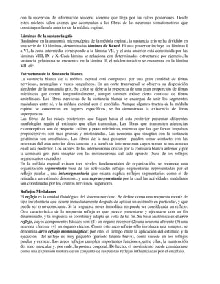 con la recepción de información visceral aferente que llega por las raíces posteriores. Desde
estos núcleos salen axones que acompañan a las fibras de las neuronas somatomotoras que
constituyen la raíz anterior de la médula espinal.
Láminas de la sustancia gris
Basándose en la anatomía microscópica de la médula espinal, la sustancia gris se ha dividido en
una serie de 10 láminas, denominadas láminas de Rexed. El asta posterior incluye las láminas I
a VI, la zona intermedia corresponde a la lámina VII, y el asta anterior está constituida por las
láminas VIII, IX y X. Cada lámina se relaciona con determinadas estructuras; por ejemplo, la
sustancia gelatinosa se encuentra en la lámina II, el núcleo torácico se encuentra en la lámina
VII, etc.
Estructura de la Sustancia Blanca
La sustancia blanca de la médula espinal está compuesta por una gran cantidad de fibras
nerviosas, neuroglias y vasos sanguíneos. En un corte transversal se observa su disposición
alrededor de la sustancia gris. Su color se debe a la presencia de una gran proporción de fibras
mielínicas que corren longitudinalmente, aunque también existe cierta cantidad de fibras
amielínicas. Las fibras nerviosas de la sustancia blanca se encargan de unir los segmentos
medulares entre sí, y la médula espinal con el encéfalo. Aunque algunos tractos de la médula
espinal se concentran en lugares específicos, se ha demostrado la existencia de áreas
superpuestas.
Las fibras de las raíces posteriores que llegan hasta el asta posterior presentan diferentes
morfologías según el estímulo que ellas transmitan. Las fibras que transmiten aferencias
exteroceptivas son de pequeño calibre y poco mielínicas, mientras que las que llevan impulsos
propioceptivos son más gruesas y mielinizadas. Las neuronas que sinaptan con la sustancia
gelatinosa son amielínicas. Las fibras de la raíz posterior pueden tomar contacto con las
neuronas del asta anterior directamente o a través de interneuronas cuyos somas se encuentran
en el asta posterior. Los axones de las interneuronas cruzan por la comisura blanca anterior y por
la comisura gris para sinaptar con las motoneuronas del lado opuesto (base de los reflejos
segmentarios cruzados)
En la médula espinal existen tres niveles fundamentales de organización: se reconoce una
organización segmentaria base de las actividades reflejas segmentarias representadas por el
reflejo patelar , una intersegmentaria que enlaza explica reflejos segmentarios como el de
retirada a un estímulo doloroso., y una suprasegmentaria por la cual las actividades medulares
son coordinadas por los centros nerviosos superiores.
Reflejos Medulares
El reflejo es la unidad fisiológica del sistema nervioso. Se define como una respuesta motriz de
tipo involuntaria que ocurre inmediatamente después de aplicar un estímulo en particular, y que
puede ser o no consciente. Si la respuesta no es inmediata no puede ser considerada un reflejo.
Otra característica de la respuesta refleja es que parece presentarse y ejecutarse con un fin
determinado, y la respuesta se coordina y adapta en vista de tal fin. Su base anatómica es el arco
reflejo, cuyos componentes básicos son: (1) un órgano receptor (2) una neurona aferente (3) una
neurona eferente (4) un órgano efector. Como este arco reflejo sólo involucra una sinapsis, se
denomina arco reflejo monosináptico; por ello, el tiempo entre la aplicación del estímulo y la
ejecución del reflejo es muy pequeño (período latente breve), como sucede en los reflejos
patelar y corneal. Los arcos reflejos cumplen importantes funciones, entre ellas, la mantención
del tono muscular y, por ende, la postura corporal. De hecho, el movimiento puede considerarse
como una expresión motora de un conjunto de respuestas reflejas influenciadas por el encéfalo.
 