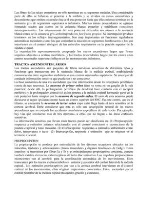 Las fibras de las raíces posteriores no sólo terminan en su segmento medular. Una considerable
parte de ellas se bifurcan al penetrar a la médula y se dividen en ramas ascendentes y
descendentes que emiten colaterales hacia el asta posterior hasta que ellas mismas terminan en la
sustancia gris de segmentos superiores o inferiores. Muchas ramas descendentes se agrupan
formando tractos que corren en la columna blanca posterior y establecen conexiones
intersegmentarias. Las interneuronas del asta posterior extienden sus axones a la sustancia
blanca cerca de la sustancia gris, constituyendo los fascículos propios. Su interrupción produce
trastornos en los reflejos intersegmentarios. Son muy importantes en funciones reguladoras
automáticas medulares como los que controlan la micción en segmentos lumbosacros o los que
intervienen en el control sinérgico de los músculos respiratorios en la porción superior de la
médula espinal.
La organización suprasegmentaria comprende los tractos ascendentes largos que llevan
impulsos aferentes a centros encefálicos, y los tractos descendentes largos por los cuales estos
centros neuronales superiores influyen en las motoneuronas inferiores.
TRACTOS ASCENDENTES LARGOS
Los tractos ascendentes son paquetes de fibras nerviosas sensitivas de diferentes tipos y
funciones que transcurren por la sustancia blanca de la médula espinal, estableciendo
comunicación entre segmentos medulares o con centros neuronales superiores. Se encargan de
conducir información sensitiva que puede ser o no consciente.
La base anatómica de una vía ascendente que trae información desde los receptores periféricos
consta de tres neuronas. La neurona de primer orden tiene su soma en un ganglio de la raíz
posterior; desde allí, la prolongación periférica (la dendrita) hace contacto con el receptor
periférico y la prolongación central (el axón) penetra a la médula espinal formando parte de la
raíz posterior hasta sinaptar con la neurona de segundo orden. El axón de esta neurona puede
decusarse o seguir ipsilateralmente hasta un centro superior del SNC. En este centro, que es el
tálamo, se encuentra la neurona de tercer orden cuyo axón llega hasta el área sensitiva de la
corteza cerebral. Debe considerar que esta es sólo una descripción general de los tractos
ascendentes que no estipula los accidentes anatómicos específicos de cada tracto. Por ejemplo,
hay vías que involucran más de tres neuronas, u otras que no llegan a las áreas corticales
sensitivas.
La información sensitiva que llevan estos tractos puede ser clasificada en: (1) Propiocepción:
respuesta a estímulos internos relacionados con el control consciente e inconsciente de la
postura corporal y tono muscular. (2) Exterocepción: respuestas a estímulos ambientales como
dolor, temperatura o tacto (3) Interocepción, respuesta a estímulos que se originan en el
territorio visceral.
PROPIOCEPCION
La propiocepción se produce por estimulación de los diversos receptores ubicados en los
músculos, tendones y articulaciones (husos musculares y órganos tendinosos de Golgi). Estos
impulsos se transmiten por fibras Ia y Ib y es principalmente propioceptiva conciente, aunque
también existen aferencias exteroceptivas de tacto discriminativo. Los impulsos propioceptivos
inconcientes van al cerebelo para la coordinación automática de los movimientos. Ellos
transcurren por los tractos espinocerebelosos anterior y posterior del cordón lateral de la médula
espinal.. Los estímulos propioceptivos que van a la corteza cerebral intervienen en el control
cortical de los movimientos, ellos originan impresiones conscientes. Estos ascienden por el
cordón posterior de la médula espinal (fascículos gracilis y cuneatus).
 