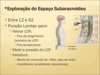 *Exploração do Espaço Subaracnoideu Entre L2 e S2 Punção Lombar para: Retirar LCR: Fins de diagnóstico (amostra de LCR) Fins terapêuticos Medir a pressão do LCR Introduzir: Meios de contraste (ar, hélio, sais de iodo) Anestésicos (anestesias raquidianas) 