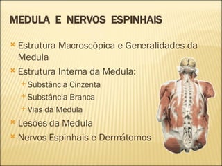 MEDULA  E  NERVOS  ESPINHAIS Estrutura Macroscópica e Generalidades da Medula Estrutura Interna da Medula: Substância Cinzenta Substância Branca Vias da Medula Lesões da Medula Nervos Espinhais e Dermátomos 