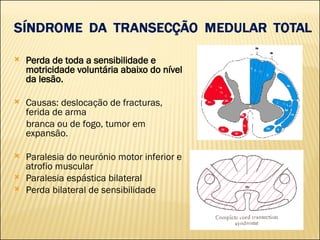 Perda de toda a sensibilidade e motricidade voluntária abaixo do nível da lesão. Causas: deslocação de fracturas, ferida de arma branca ou de fogo, tumor em expansão. Paralesia do neurónio motor inferior e atrofio muscular Paralesia espástica bilateral Perda bilateral de sensibilidade 