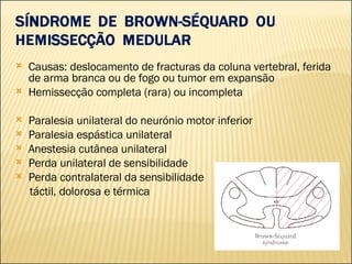 Causas: deslocamento de fracturas da coluna vertebral, ferida de arma branca ou de fogo ou tumor em expansão Hemissecção completa (rara) ou incompleta Paralesia unilateral do neurónio motor inferior Paralesia espástica unilateral Anestesia cutânea unilateral Perda unilateral de sensibilidade Perda contralateral da sensibilidade táctil, dolorosa e térmica 