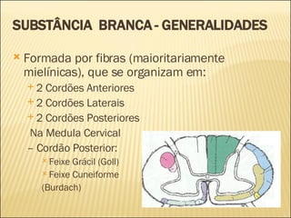 SUBSTÂNCIA  BRANCA - GENERALIDADES Formada por fibras (maioritariamente mielínicas), que se organizam em: 2 Cordões Anteriores 2 Cordões Laterais 2 Cordões Posteriores Na Medula Cervical  –  Cordão Posterior: Feixe Grácil (Goll) Feixe Cuneiforme (Burdach) 
