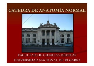 CÁTEDRA DE ANATOMÍA NORMAL




   FACULTAD DE CIENCIAS MÉDICAS
 UNIVERSIDAD NACIONAL DE ROSARIO
 