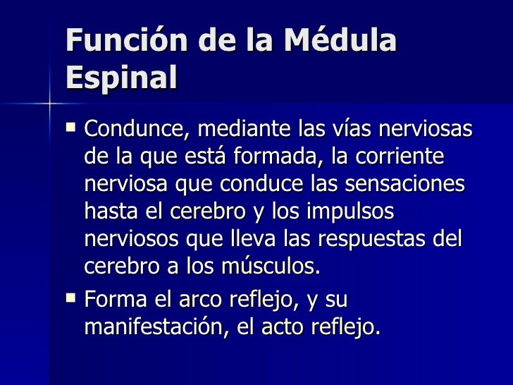Medula Espinal