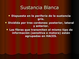 Sustancia Blanca Dispuesta en la periferia de la sustancia gris. Dividida por tres cordones: posterior, lateral y anterior. Las fibras que transmiten el mismo tipo de información (sensitiva o motora) están agrupadas en HACES. 