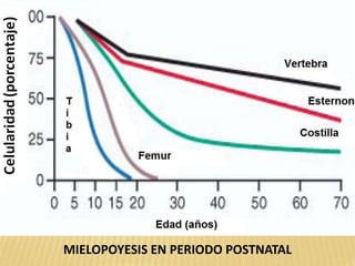 MIELOPOYESIS EN PERIODO POSTNATAL
 