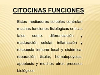 Estos mediadores solubles controlan
muchas funciones fisiológicas críticas
tales como: diferenciación y
maduración celular, inflamación y
respuesta inmune local y sistémica,
reparación tisular, hematopoyesis,
apoptosis y muchos otros procesos
biológicos.
CITOCINAS FUNCIONES
 