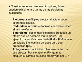 Considerando las diversas citoquinas, éstas
pueden exhibir una o varias de las siguientes
cualidades:
Pleiotropía: múltiples efectos al actuar sobre
diferentes células.
Redundancia: varias citoquinas pueden ejercer
el mismo efecto.
Sinergismo: dos o más citoquinas producen un
efecto que se potencia mutuamente. Por
ejemplo: la acción conjunta de IL-4 e IL-5 induce
en células B el cambio de clase para que
produzcan Ig E.
Antagonismo: inhibición o bloqueo mutuo de
sus efectos. Por ejemplo: el IFN-gamma
bloquea el cambio de clase promovido por IL-4.
 
