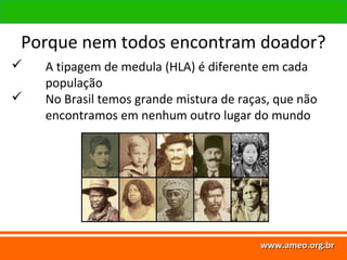 www.ameo.org.br
www.ameo.org.brwww.ameo.org.brwww.ameo.org.br
 A tipagem de medula (HLA) é diferente em cada
população
 No Brasil temos grande mistura de raças, que não
encontramos em nenhum outro lugar do mundo
Porque nem todos encontram doador?
 