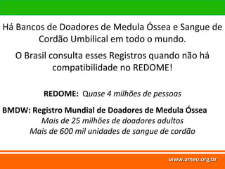www.ameo.org.br
www.ameo.org.brwww.ameo.org.brwww.ameo.org.br
Há Bancos de Doadores de Medula Óssea e Sangue de
Cordão Umbilical em todo o mundo.
O Brasil consulta esses Registros quando não há
compatibilidade no REDOME!
REDOME: Quase 4 milhões de pessoas
BMDW: Registro Mundial de Doadores de Medula Óssea
Mais de 25 milhões de doadores adultos
Mais de 600 mil unidades de sangue de cordão
 