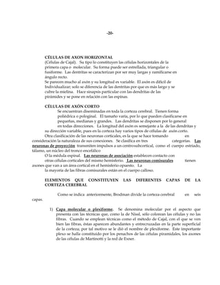 -20-




         CÉLULAS DE AXON HORIZONTAL
         (Células de Cajal). Su tipo lo constituyen las células horizontales de la
         primera capa o molecular. Su forma puede ser estrellada, triangular o
         fusiforme. Las dentritas se caracterizan por ser muy largas y ramificarse en
         ángulo recto.
         Se parecen mucho al axón y su longitud es variable. El axón es difícil de
         Individualizar; solo se diferencia de las dentritas por que es más largo y se
         cubre la mielina. Hace sinapsis particular con las dendritas de las
         pirámides y se pone en relación con las espinas.

       CÉLULAS DE AXÓN CORTO
               Se encuentran diseminadas en toda la corteza cerebral. Tienen forma
               poliédrica o pologinal. El tamaño varía, por lo que pueden clasificarse en
               pequeñas, medianas y grandes. Las dendritas se disponen por lo general
               en todas direcciones. La longitud del axón es semejante a la de las dendritas y
       su dirección variable, pues en la corteza hay varios tipos de células de axón corto.
       Otra clasificación de las neuronas corticales, es la que se hace tomando          en
consideración la naturaleza de sus conexiones. Se clasifica en tres               categorías. Las
neuronas de proyección transmiten impulsos a un centro subcortical, como el cuerpo estriado,
tálamo, un núcleo del tronco encefálico
       O la médula espinal. Las neuronas de asociación establecen contacto con
       otras células corticales del mismo hemisferio. Las neuronas comisurales           tienen
axones que van a un área cortical en el hemisferio opuesto. La
       la mayoría de las fibras comisurales están en el cuerpo calloso.

         ELEMENTOS QUE CONSTITUYEN                    LAS     DIFERENTES       CAPAS     DE   LA
         CORTEZA CEREBRAL

                Como se indica anteriormente, Brodman divide la corteza cerebral         en   seis
capas.

           1) Capa molecular o plexiforme. Se denomina molecular por el aspecto que
              presenta con las técnicas que, como la de Nissl, sólo colorean las células y no las
              fibras. Cuando se emplean técnicas como el método de Cajal, con el que se ven
              bien las fibras, éstas aparecen abundantes y entrecruzadas en la parte superficial
              de la corteza; por tal motivo se le dió el nombre de plexiforme. Este importante
              plexo se halla constituido por los penachos de las células piramidales, los axones
              de las células de Martinotti y la red de Exner.
 
