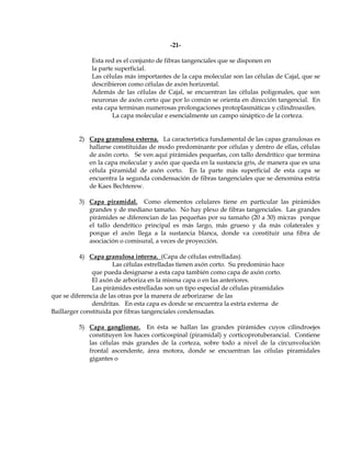 -21-

              Esta red es el conjunto de fibras tangenciales que se disponen en
              la parte superficial.
              Las células más importantes de la capa molecular son las células de Cajal, que se
              describieron como células de axón horizontal.
              Además de las células de Cajal, se encuentran las células poligonales, que son
              neuronas de axón corto que por lo común se orienta en dirección tangencial. En
              esta capa terminan numerosas prolongaciones protoplasmáticas y cilindroaxiles.
                      La capa molecular e esencialmente un campo sináptico de la corteza.


          2) Capa granulosa externa. La característica fundamental de las capas granulosas es
             hallarse constituidas de modo predominante por células y dentro de ellas, células
             de axón corto. Se ven aquí pirámides pequeñas, con tallo dendrítico que termina
             en la capa molecular y axón que queda en la sustancia gris, de manera que es una
             célula piramidal de axón corto. En la parte más superficial de esta capa se
             encuentra la segunda condensación de fibras tangenciales que se denomina estría
             de Kaes Bechterew.

          3) Capa piramidal. Como elementos celulares tiene en particular las pirámides
             grandes y de mediano tamaño. No hay plexo de fibras tangenciales. Las grandes
             pirámides se diferencian de las pequeñas por su tamaño (20 a 30) micras porque
             el tallo dendrítico principal es más largo, más grueso y da más colaterales y
             porque el axón llega a la sustancia blanca, donde va constituir una fibra de
             asociación o comisural, a veces de proyección.

          4) Capa granulosa interna. (Capa de células estrelladas).
                       Las células estrelladas tienen axón corto. Su predominio hace
               que pueda designarse a esta capa también como capa de axón corto.
               El axón de arboriza en la misma capa o en las anteriores.
               Las pirámides estrelladas son un tipo especial de células piramidales
que se diferencia de las otras por la manera de arborizarse de las
               dendritas. En esta capa es donde se encuentra la estría externa de
Baillarger constituida por fibras tangenciales condensadas.

          5) Capa ganglionar. En ésta se hallan las grandes pirámides cuyos cilindroejes
             constituyen los haces corticospinal (piramidal) y corticoprotuberancial. Contiene
             las células más grandes de la corteza, sobre todo a nivel de la circunvolución
             frontal ascendente, área motora, donde se encuentran las células piramidales
             gigantes o
 