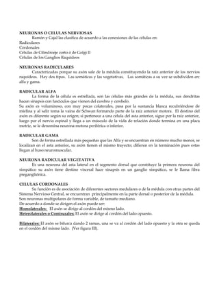 NEURONAS O CELULAS NERVIOSAS
       Ramón y Cajal las clasifica de acuerdo a las conexiones de las células en:
Radiculares
Cordonales
Células de Cilindroeje corto ó de Golgi II
Células de los Ganglios Raquídeos

NEURONAS RADICULARES
        Caracterizadas porque su axón sale de la médula constituyendo la raíz anterior de los nervios
raquídeos. Hay dos tipos. Las somáticas y las vegetativas. Las somáticas a su vez se subdividen en:
alfa y gama.

RADICULAR ALFA
       La forma de la célula es estrellada, son las células más grandes de la médula, sus dendritas
hacen sinapsis con fascículos que vienen del cerebro y cerebelo.
Su axón es voluminoso, con muy pocas colaterales, pasa por la sustancia blanca recubriéndose de
mielina y al salir toma la vaina de Schwan formando parte de la raíz anterior motora. El destino del
axón es diferente según su origen; si pertenece a una célula del asta anterior, sigue por la raíz anterior,
luego por el nervio espinal y llega a un músculo de la vida de relación donde termina en una placa
motriz, se le denomina neurona motora periférica o inferior.

RADICULAR GAMA
        Son de forma estrellada más pequeñas que las Alfa y se encuentran en número mucho menor, se
localizan en el asta anterior, su axón tienen el mismo trayecto; difieren en la terminación pues estas
llegan al huso neuromuscular.

NEURONA RADICULAR VEGETATIVA
       Es una neurona del asta lateral en el segmento dorsal que constituye la primera neurona del
simpático su axón tiene destino visceral hace sinapsis en un ganglio simpático, se le llama fibra
pregangliónica.

CELULAS CORDONALES
       Su función es de asociación de diferentes sectores medulares o de la médula con otras partes del
Sistema Nervioso Central, se encuentran principalmente en la parte dorsal o posterior de la médula.
Son neuronas multipolares de forma variable, de tamaño mediano.
De acuerdo a donde se dirigen el axón puede ser:
Homolaterales: El axón se dirige al cordón del mismo lado.
Heterolaterales o Comisurales: El axón se dirige al cordón del lado opuesto.

Bilaterales: El axón se bifurca dando 2 ramas, una se va al cordón del lado opuesto y la otra se queda
en el cordón del mismo lado. (Ver figura III).
 