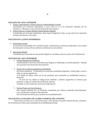 -5-



NÚCLEOS DEL ASTA ANTERIOR
 1. Núcleo Anterolateral ó Antero Externo ó Miorrabdótico Lateral
    Constituido por neuronas radiculares y cuyo axón se va a los músculos estriados de los
    miembros. Situados en una Posición lateral del asta anterior.
 2. Antero Interno ó Antero Medial ó Miorrabdótico Medial
    Constituido por neuronas radiculares, tiene mayor longitud el axón, ya que inerva los músculos
    dorsales del tronco y del cuello.

NÚCLEOS DE LA ZONA INTERMEDIA

  1. Intermedio Lateral:
     Se encuentra desarrollado en la médula dorsal, constituido por neuronas radiculares y los axones
     de éstas junto con las del asta anterior constituyen la raíz anterior.

  2. Intermedio Medial
     Constituido por neuronas de asociación Golgi II, se considera como un centro de Coordinación.

NÚCLEOS DEL ASTA POSTERIOR
    1. Núcleo Marginal de Waldeyer
       Constituido por neuronas cordonales que dirigen su cilindroeje al cordón posterior. Situado
       en la porción más dorsal del asta posterior.

       2. Núcleo de la sustancia gelatinosa de Rolando
          De forma semilunar. Constituido por neuronas cordonales pequeñas y mucha glía, a esto se
          debe su aspecto gelatinoso.
          A él llegan las fibras cortas de la raíz posterior que transmiten la sensibilidad térmica y
          dolorosa.
             El axón de sus células se dirige hacia adelante y adentro siguiendo la comisura gris
          posterior y llega al cordón lateral del lado opuesto.
          También en este núcleo hay neuronas Golgi Tipo II.

       3. Núcleo Propio del Asta Posterior
          Esta situado adelante del de Rolando; constituido por células cordonales heterolaterales,
          cuyo cilindroeje se dirige al lado opuesto.
          En el terminan las fibras que conducen la sensibilidad táctil.

NUCLEO DE LA COLUMNA DE CLARKE O DORSAL DEL STILLING
        Tiene formo ovoidea, en el corte transversal, está situado en la parte interna del asta posterior.
En él terminan las fibras que transmiten la sensibilidad profunda.
 