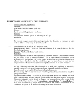 -9-



DESCRIPCION DE LOS DIFERENTES TIPOS DE CELULAS

  a.   Células estrelladas superficiales:
       Situación:
       En el tercio externo de la capa molecular.
       Forma:
       Puede ser: variable, poligonal o fusiforme.
       Tamaño:
       Son pequeñas, menores que las de Purkinje y las de Cajal.
       Estructura:

       No presenta ninguna característica de importancia. Las dendritas se propagan en todo
       sentido. El axón corto, fino y de dirección variable.

  b.   Células estrelladas profundas de Cajal o con Cestos:
       Descubiertas por Cajal. Situación: En el tercio interno de la capa plexiforme. Forma:
       Estrellada o poligonal.
       Tamaño: Alrededor de diez a veinte micras.
       Estructura:
       Son de citoplasma escaso con pocos grumos de Nissl en la periferia. Sus dendritas pueden
       ser tres, cuatro o más en todas direcciones. Por lo general estas células tienen largas
       prolongaciones ascendentes. En ciertas partes las dendritas presentan engrosamientos,
       además tiene abundantes túbulos dendríticos que se desordenan a nivel de los
       engrosamientos. Hacen sinapsis con las con las partes dilatadas de las fibras paralelas.

       Lo más característico de este tipo de células es el Axón, cuya dirección es horizontal,
       paralela a la superficie del cerebelo y perpendicular al eje de la laminilla cerebelosa.
       Para observarlo en cortes, éste debe efectuarse longitudinalmente.
       El axón emerge del soma o cuerpo en una zona triangular o cónica, en su inicio es muy fino
       y luego se ensancha.
       Sigue su trayecto paralelo a la superficie. Los más gruesos ocupan una posición profunda
       en la capa molecular. Con microscopio electrónico pueden observarse un gran número de
       filamentos ondulados y se evidencia la sinapsis, con ramas espinosas y las espinas de las
       células de Purkinje. Emite colaterales ascendentes y descendentes. Las ascendentes son
       más finas, se ramifican y llegan hasta la superficie del cerebelo: intervienen en las
       conexiones recíprocas de las células con cestos y otras células estrelladas.
 