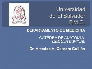 DEPARTAMENTO DE MEDICINA
      CATEDRA DE ANATOMIA:
           MEDULA ESPINAL
 Dr. Amadeo A. Cabrera Guillén
 