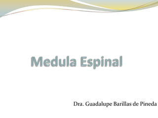 Dra. Guadalupe Barillas de Pineda
 