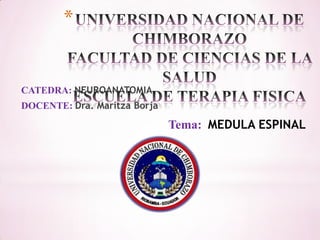 *

CATEDRA: NEUROANATOMIA
DOCENTE: Dra. Maritza Borja

Tema: MEDULA ESPINAL

 