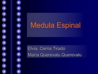Medula Espinal
Elvia. Cerna Tirado
María Querevalu Querevalu
 