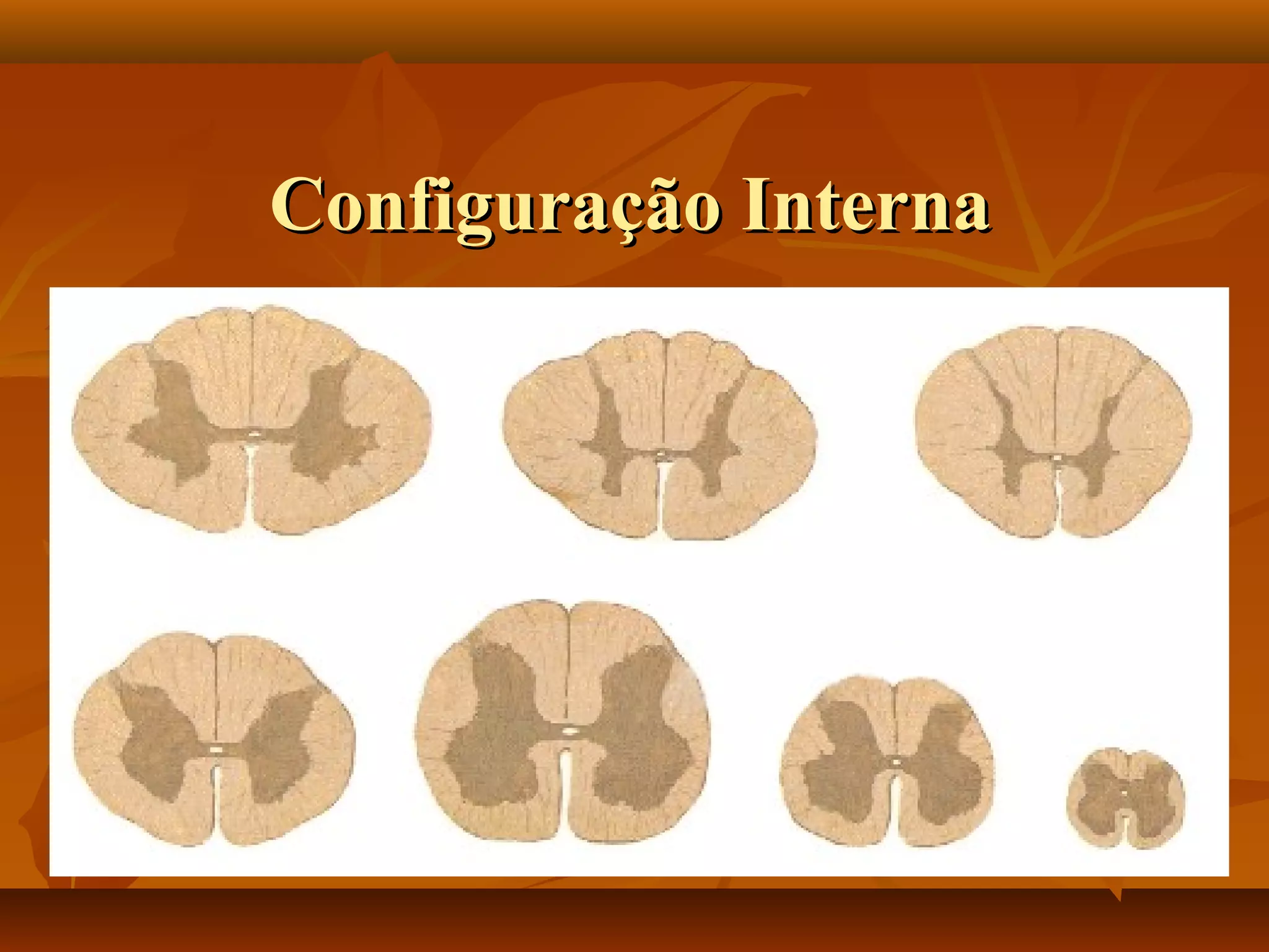 Configuração InternaConfiguração Interna
 