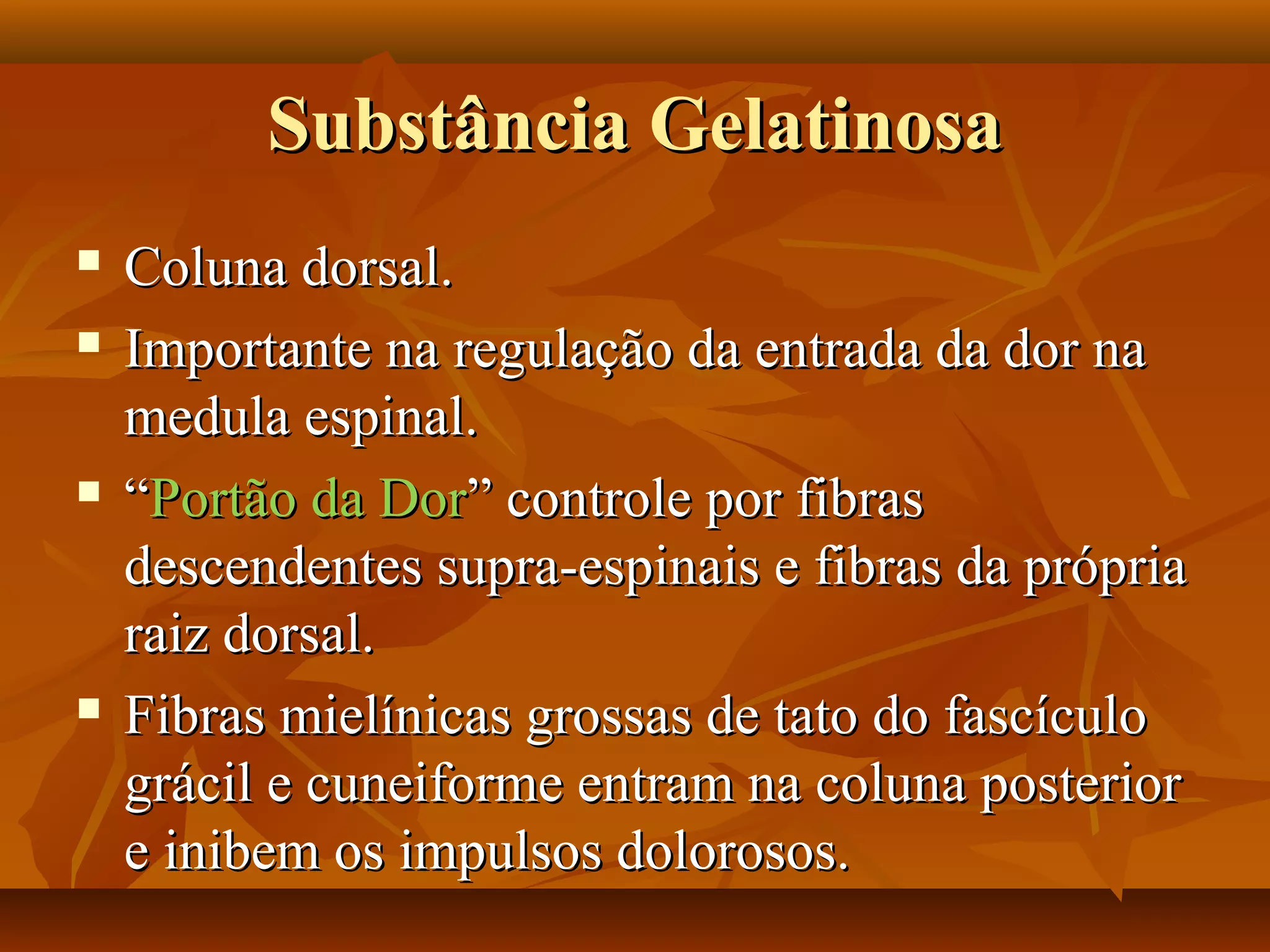 Substância GelatinosaSubstância Gelatinosa
 Coluna dorsal.Coluna dorsal.
 Importante na regulação da entrada da dor naImportante na regulação da entrada da dor na
medula espinal.medula espinal.
 ““Portão da DorPortão da Dor” controle por fibras” controle por fibras
descendentes supra-espinais e fibras da própriadescendentes supra-espinais e fibras da própria
raiz dorsal.raiz dorsal.
 Fibras mielínicas grossas de tato do fascículoFibras mielínicas grossas de tato do fascículo
grácil e cuneiforme entram na coluna posteriorgrácil e cuneiforme entram na coluna posterior
e inibem os impulsos dolorosos.e inibem os impulsos dolorosos.
 