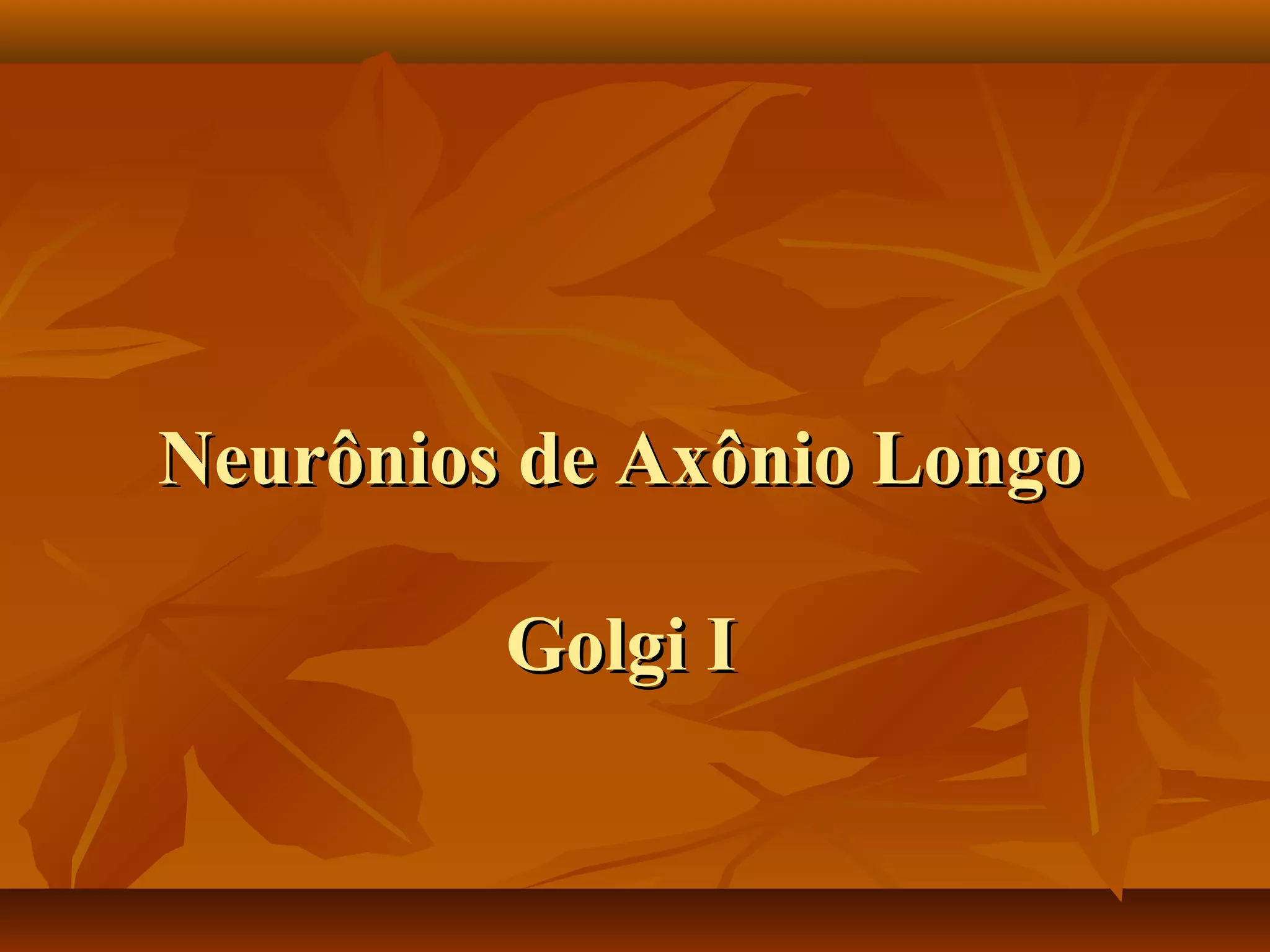 Neurônios de Axônio LongoNeurônios de Axônio Longo
Golgi IGolgi I
 