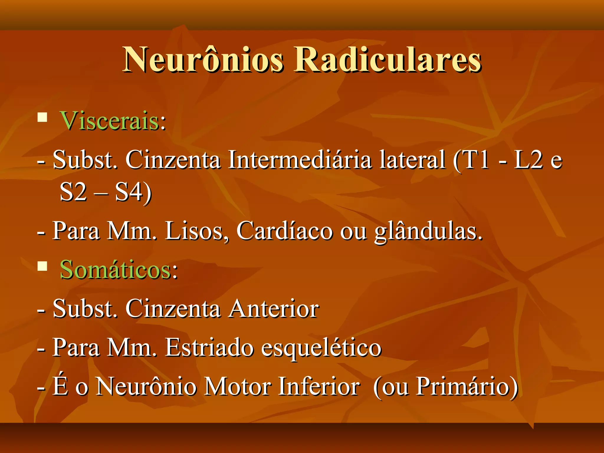 Neurônios RadicularesNeurônios Radiculares
 VisceraisViscerais::
- Subst. Cinzenta Intermediária lateral (T1 - L2 e- Subst. Cinzenta Intermediária lateral (T1 - L2 e
S2 – S4)S2 – S4)
- Para Mm. Lisos, Cardíaco ou glândulas.- Para Mm. Lisos, Cardíaco ou glândulas.
 SomáticosSomáticos::
- Subst. Cinzenta Anterior- Subst. Cinzenta Anterior
- Para Mm. Estriado esquelético- Para Mm. Estriado esquelético
- É o Neurônio Motor Inferior (ou Primário)- É o Neurônio Motor Inferior (ou Primário)
 