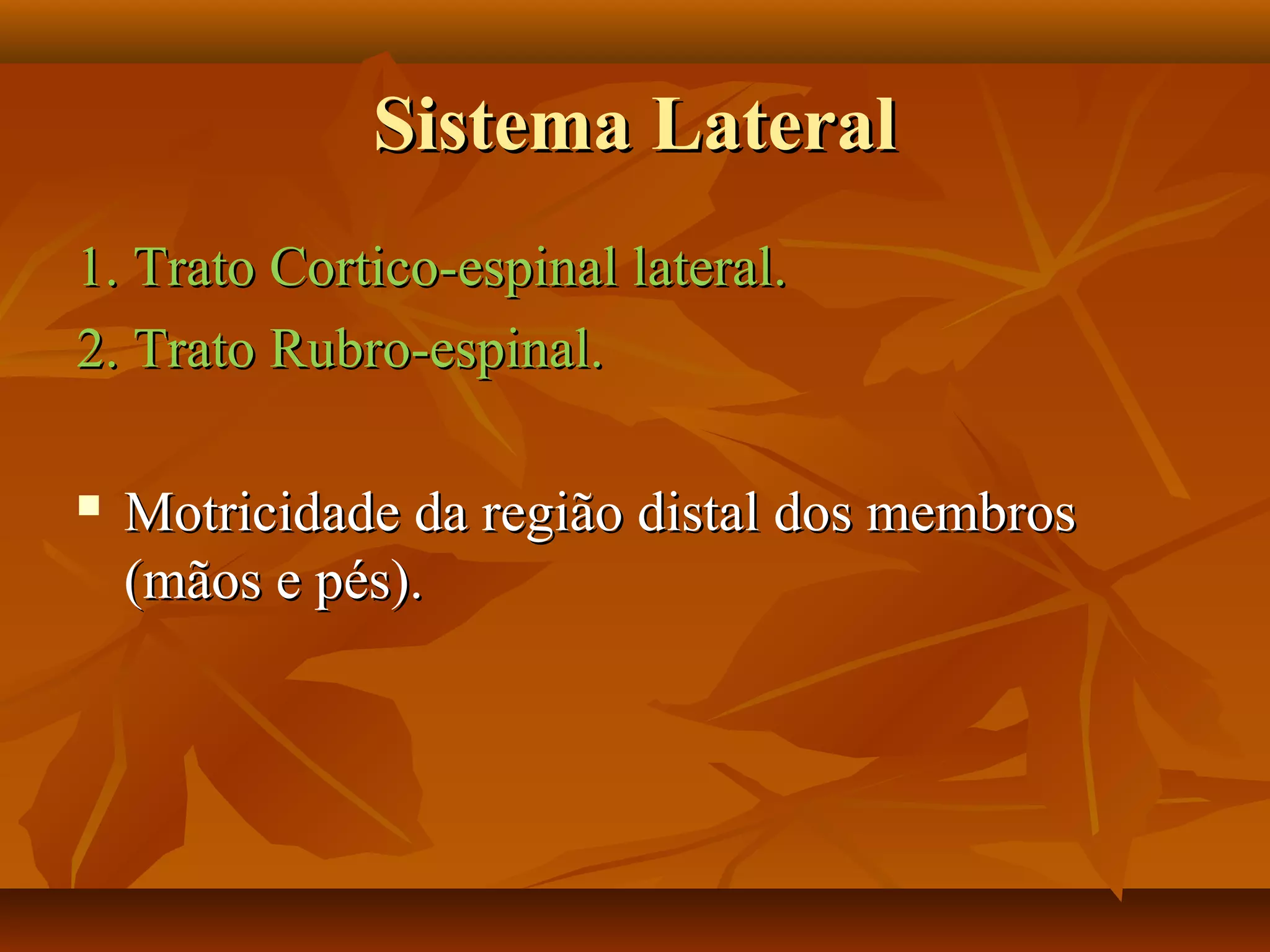 Sistema LateralSistema Lateral
1. Trato Cortico-espinal lateral.1. Trato Cortico-espinal lateral.
2. Trato Rubro-espinal.2. Trato Rubro-espinal.
 Motricidade da região distal dos membrosMotricidade da região distal dos membros
(mãos e pés).(mãos e pés).
 