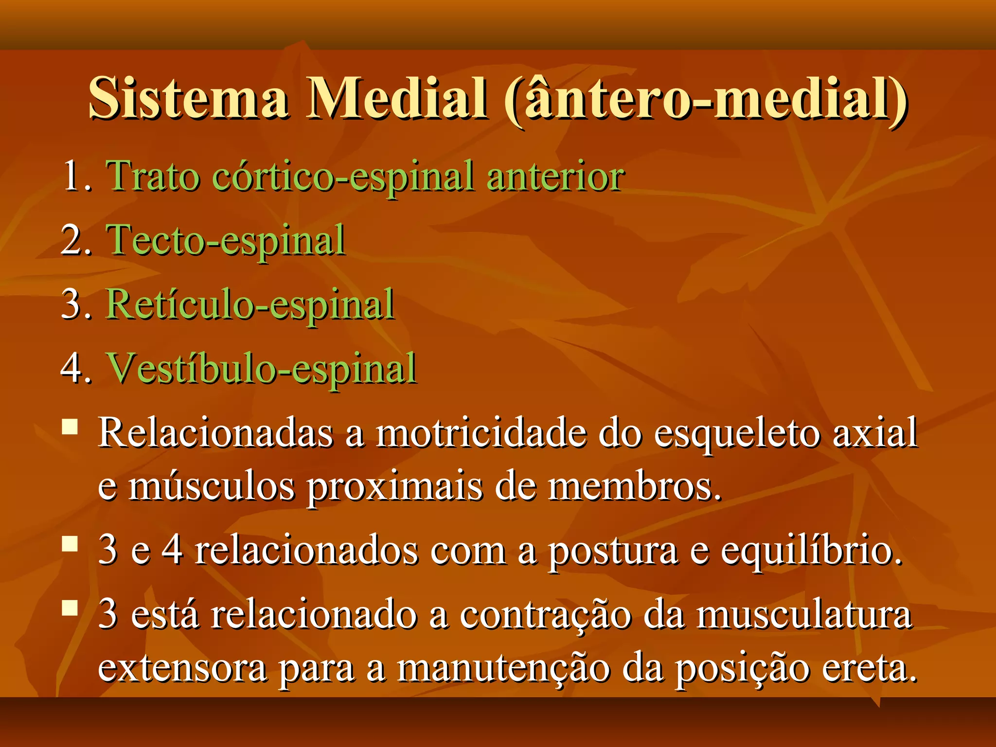 Sistema Medial (ântero-medial)Sistema Medial (ântero-medial)
1.1. Trato córtico-espinal anteriorTrato córtico-espinal anterior
2.2. Tecto-espinalTecto-espinal
3.3. Retículo-espinalRetículo-espinal
4.4. Vestíbulo-espinalVestíbulo-espinal
 Relacionadas a motricidade do esqueleto axialRelacionadas a motricidade do esqueleto axial
e músculos proximais de membros.e músculos proximais de membros.
 3 e 4 relacionados com a postura e equilíbrio.3 e 4 relacionados com a postura e equilíbrio.
 3 está relacionado a contração da musculatura3 está relacionado a contração da musculatura
extensora para a manutenção da posição ereta.extensora para a manutenção da posição ereta.
 