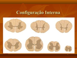Configuração InternaConfiguração Interna
 