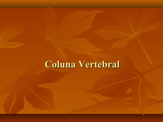 Coluna VertebralColuna Vertebral
 